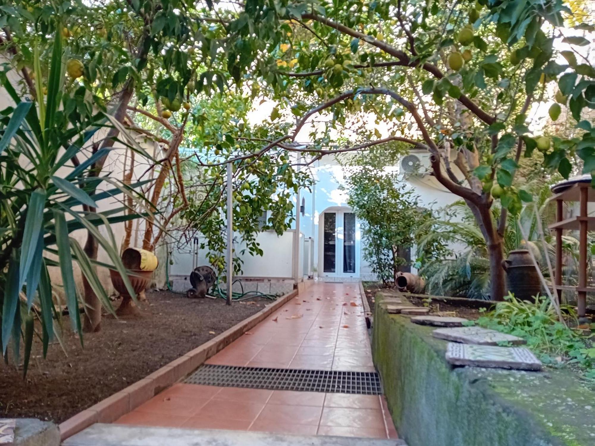 Villa Sofia E Sveva 나폴리 객실 사진
